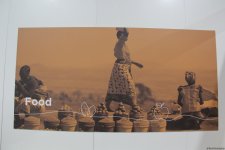 Cultural diversity at COP29 in Baku – Creative pavilions, carpets, expositions (PHOTO)