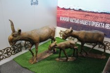 Cultural diversity at COP29 in Baku – Creative pavilions, carpets, expositions (PHOTO)