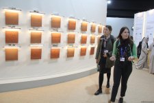 Cultural diversity at COP29 in Baku – Creative pavilions, carpets, expositions (PHOTO)