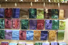 Cultural diversity at COP29 in Baku – Creative pavilions, carpets, expositions (PHOTO)