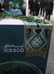 Cultural diversity at COP29 in Baku – Creative pavilions, carpets, expositions (PHOTO)