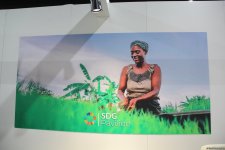 Cultural diversity at COP29 in Baku – Creative pavilions, carpets, expositions (PHOTO)