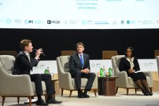 COP29 hosts panel discussion on business, investment, philanthropy (PHOTO)
