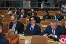 COP29 hosts panel discussion on business, investment, philanthropy (PHOTO)