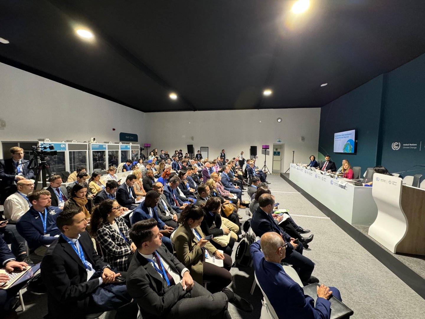 Azerbaijan aims to take leading position in renewable energy - deputy minister (PHOTO)