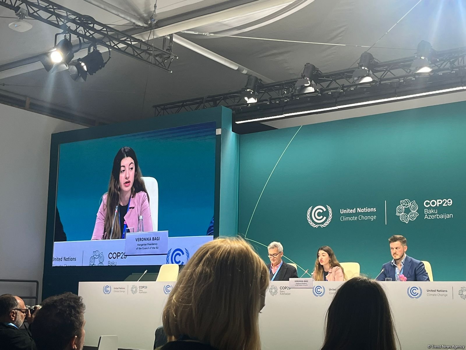 Complete green transformation relies on private sector - EU Council representative