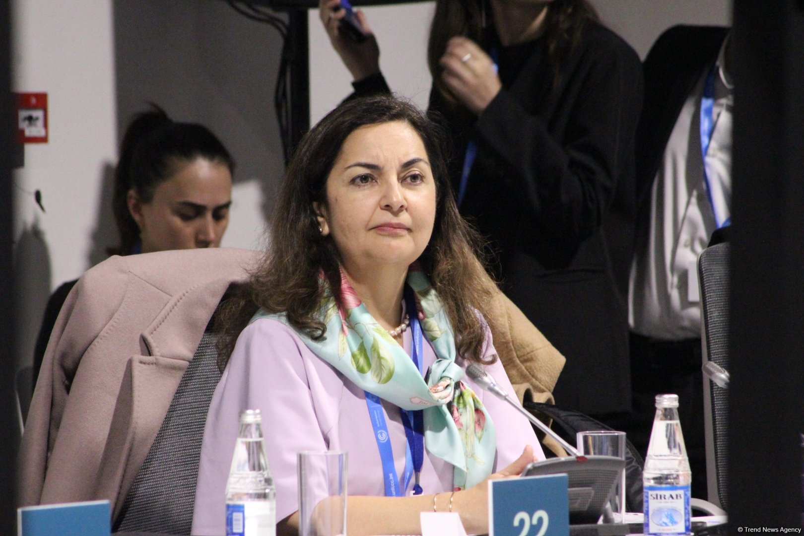 COP29 hosts debates on preventing glacial melting in Central, Western Asia (PHOTO)