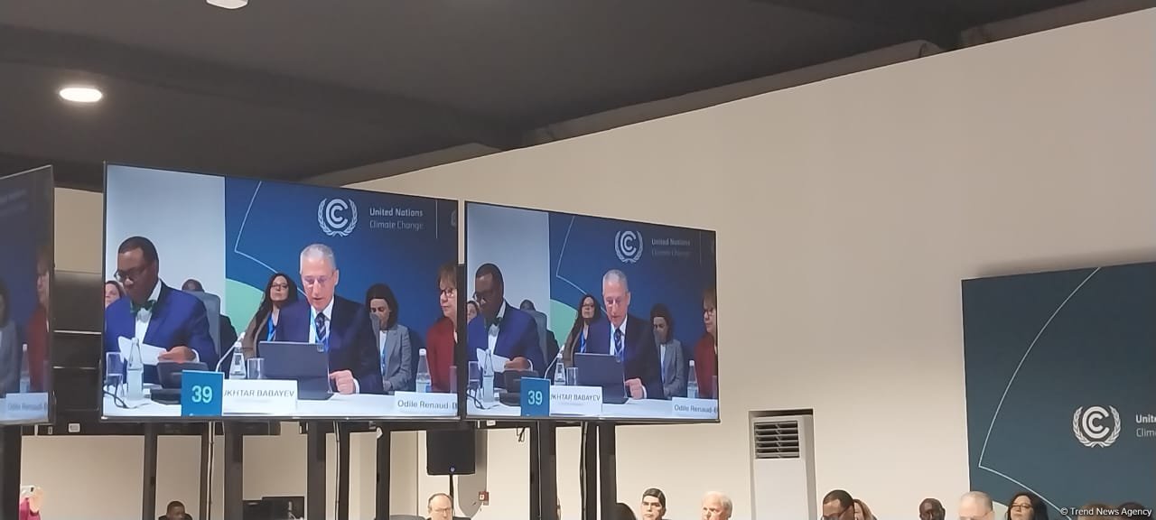 We call on MDBs to increase funding for national adaptation plans - COP29 president