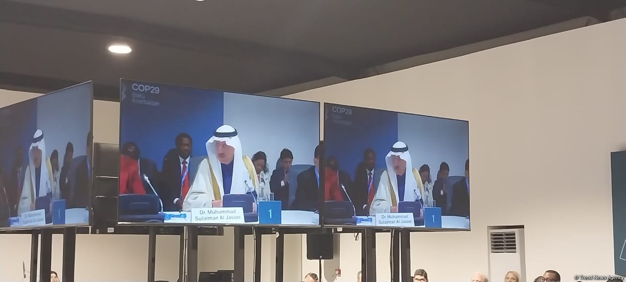 IsDB approves over $5 billion in climate finance since 2022 - president