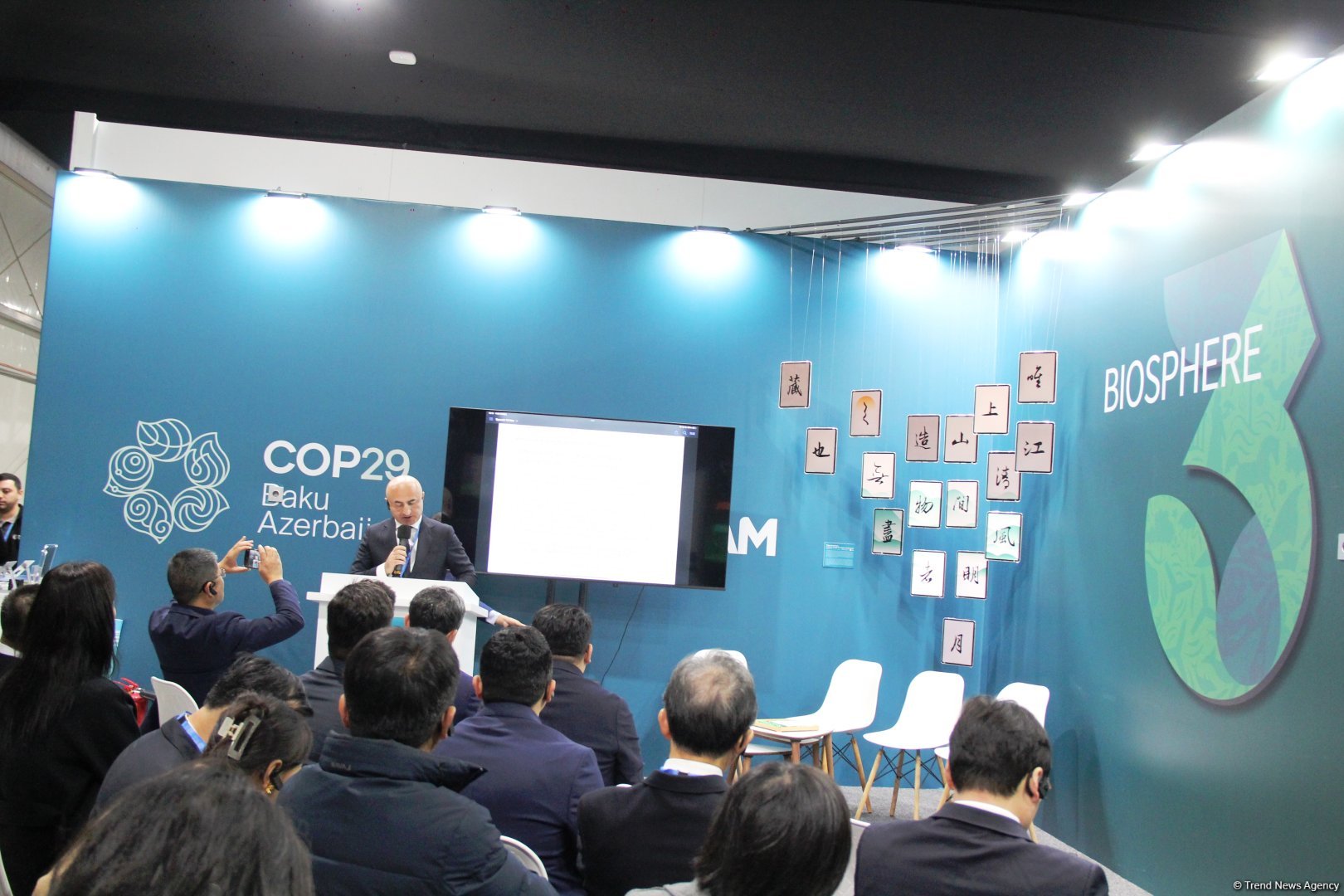 Cultural diversity at COP29 in Baku – Creative pavilions, carpets, expositions (PHOTO)