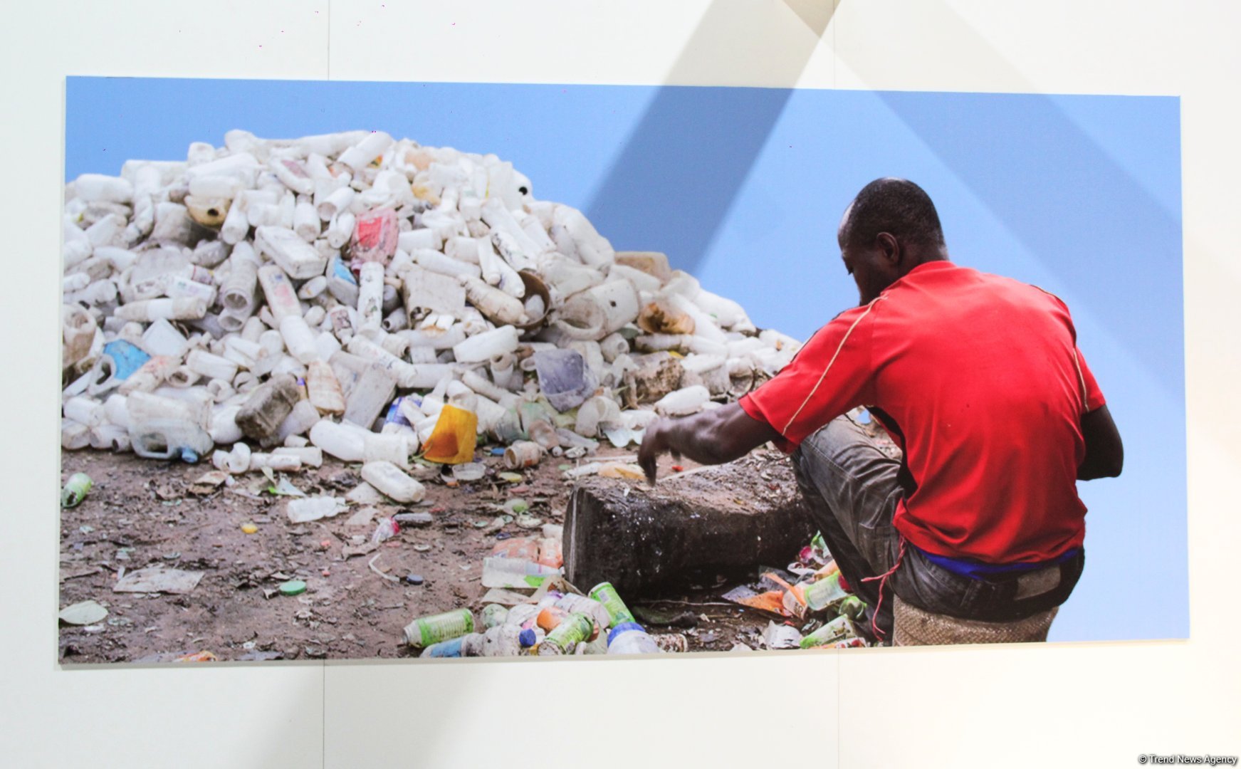 Cultural diversity at COP29 in Baku – Creative pavilions, carpets, expositions (PHOTO)