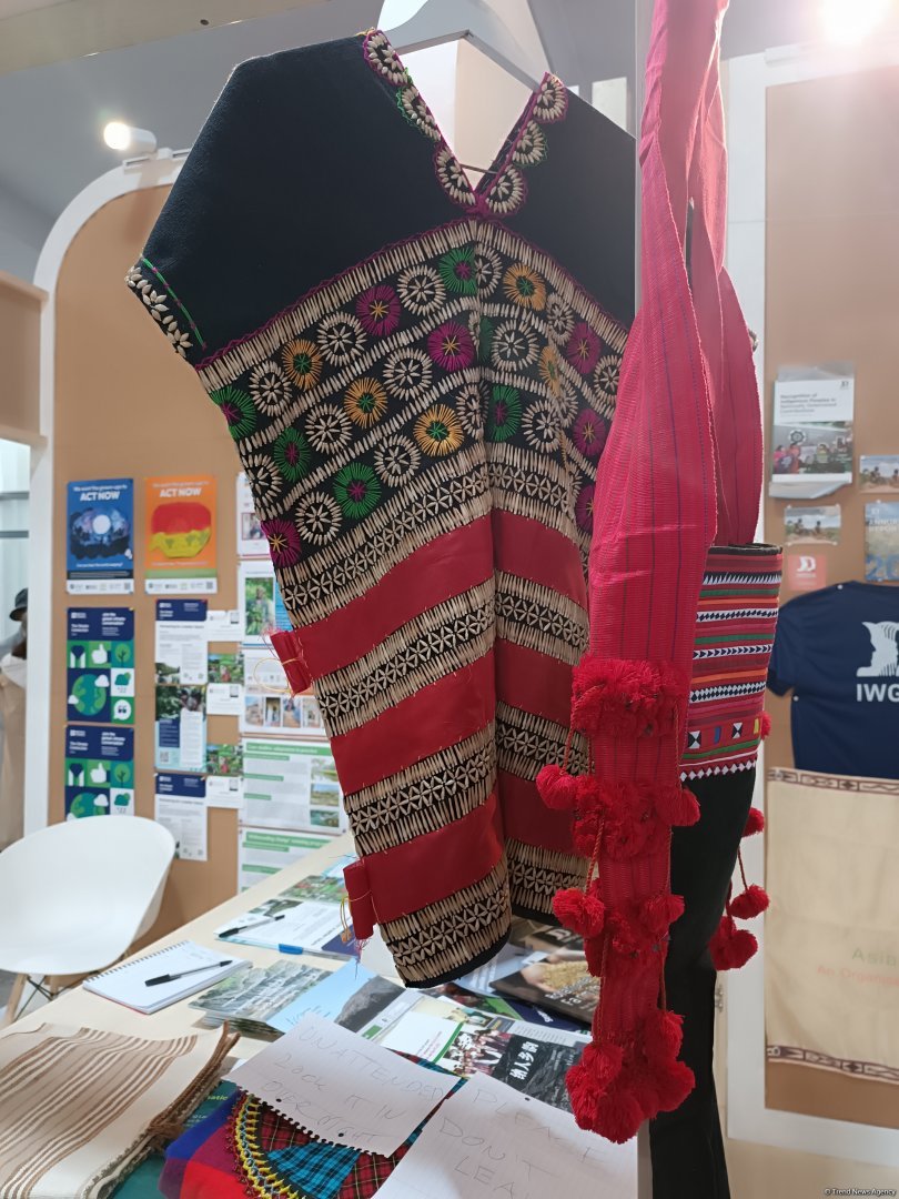 Cultural diversity at COP29 in Baku – Creative pavilions, carpets, expositions (PHOTO)
