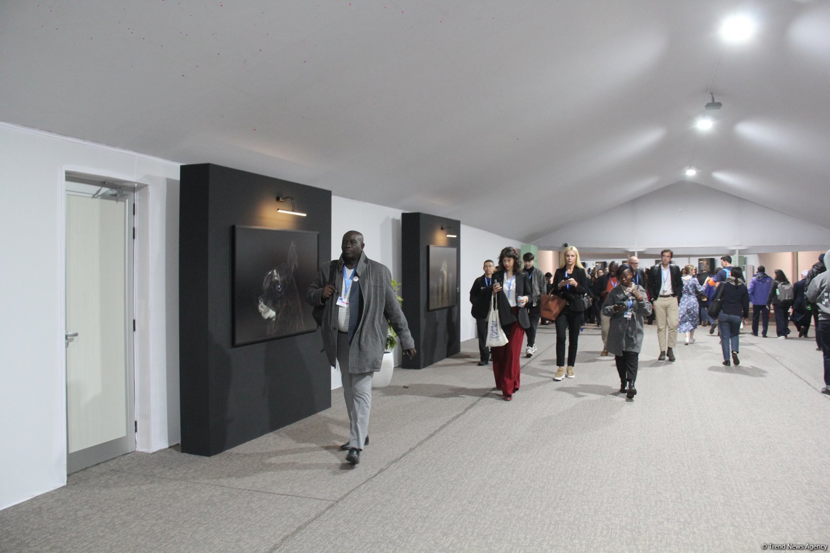 Cultural diversity at COP29 in Baku – Creative pavilions, carpets, expositions (PHOTO)