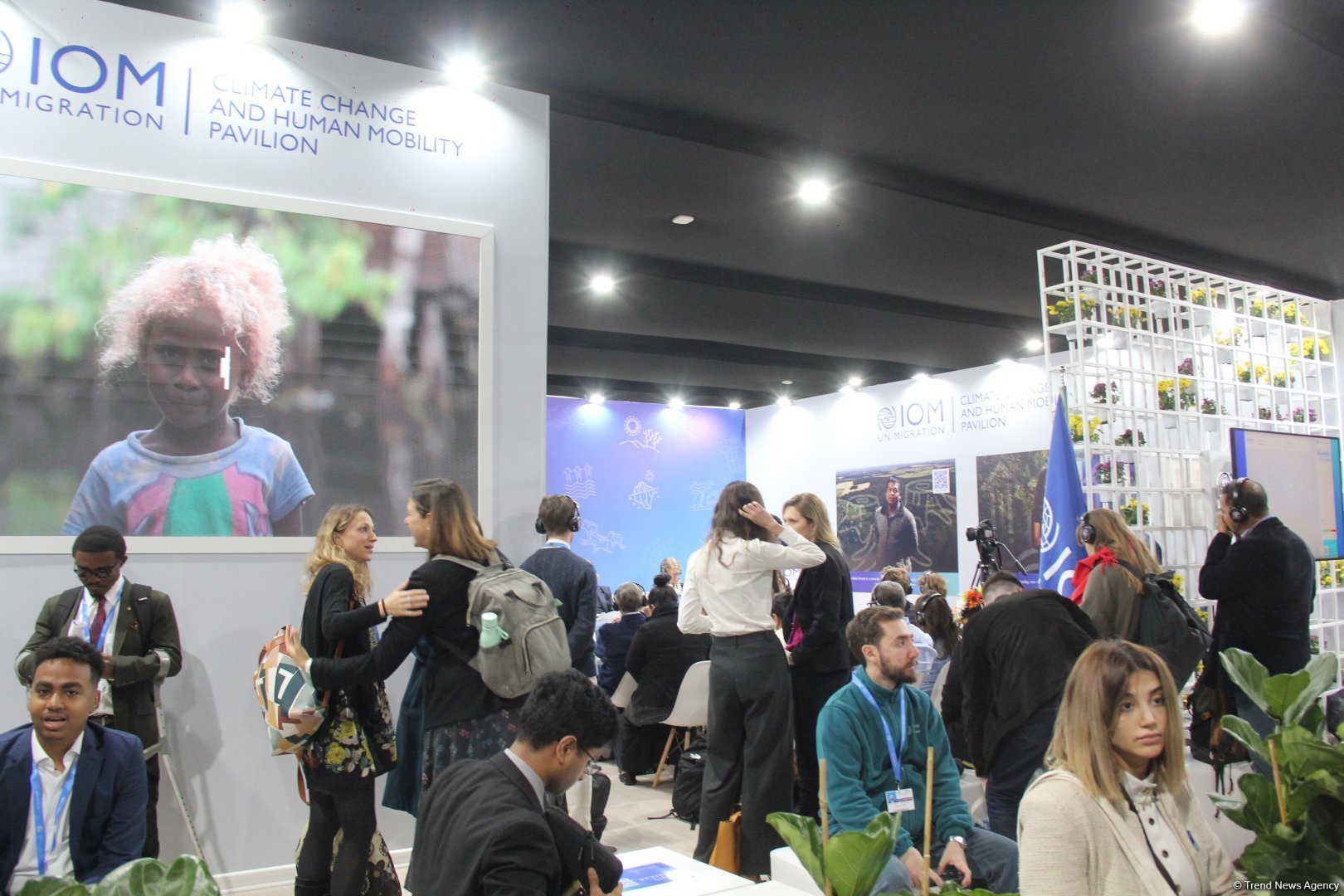 Cultural diversity at COP29 in Baku – Creative pavilions, carpets, expositions (PHOTO)