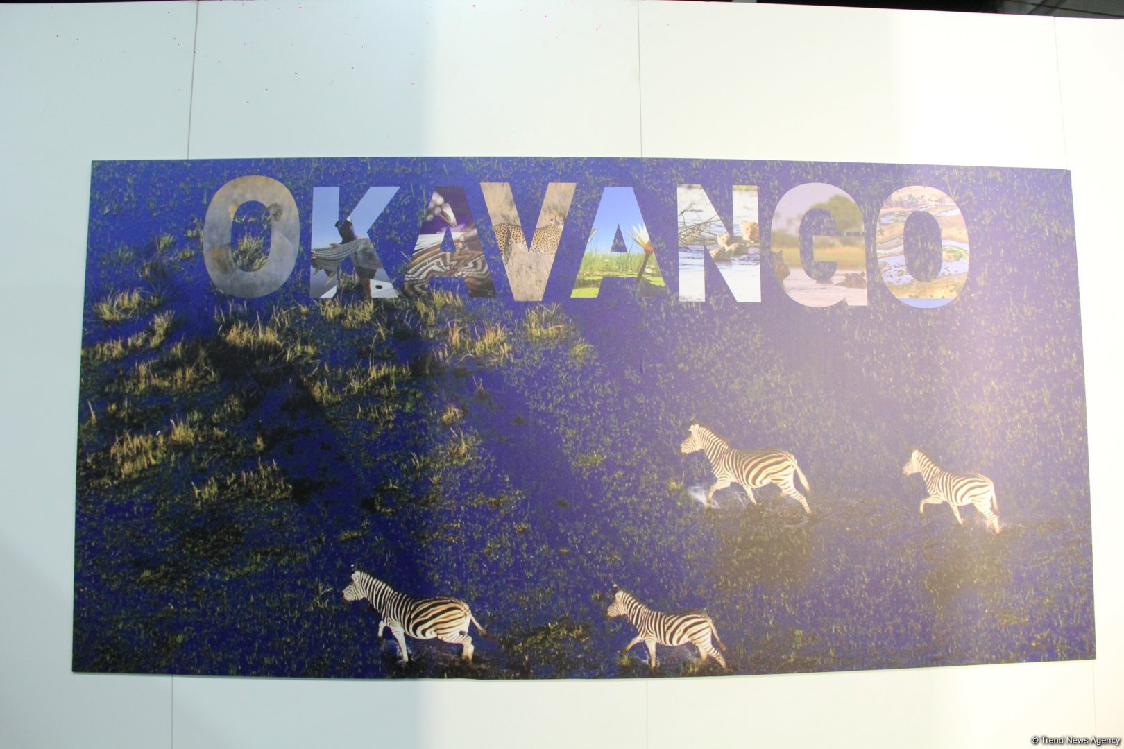Cultural diversity at COP29 in Baku – Creative pavilions, carpets, expositions (PHOTO)