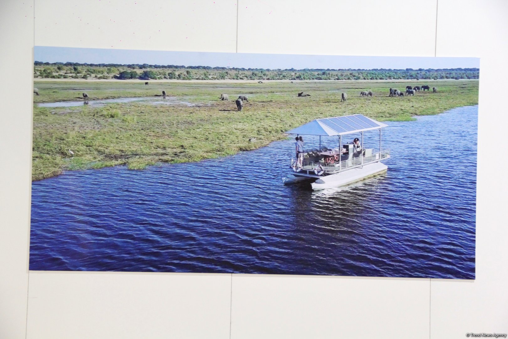 Cultural diversity at COP29 in Baku – Creative pavilions, carpets, expositions (PHOTO)