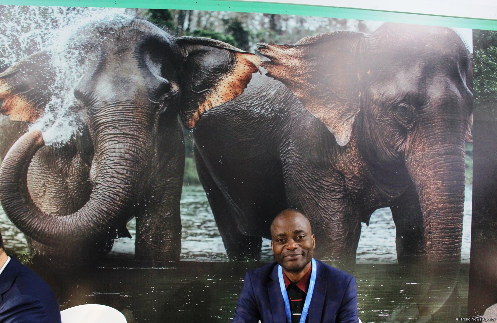 Cultural diversity at COP29 in Baku – Creative pavilions, carpets, expositions (PHOTO)