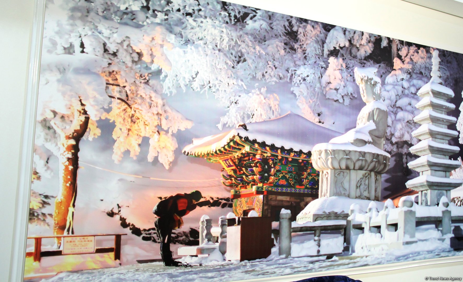 Cultural diversity at COP29 in Baku – Creative pavilions, carpets, expositions (PHOTO)