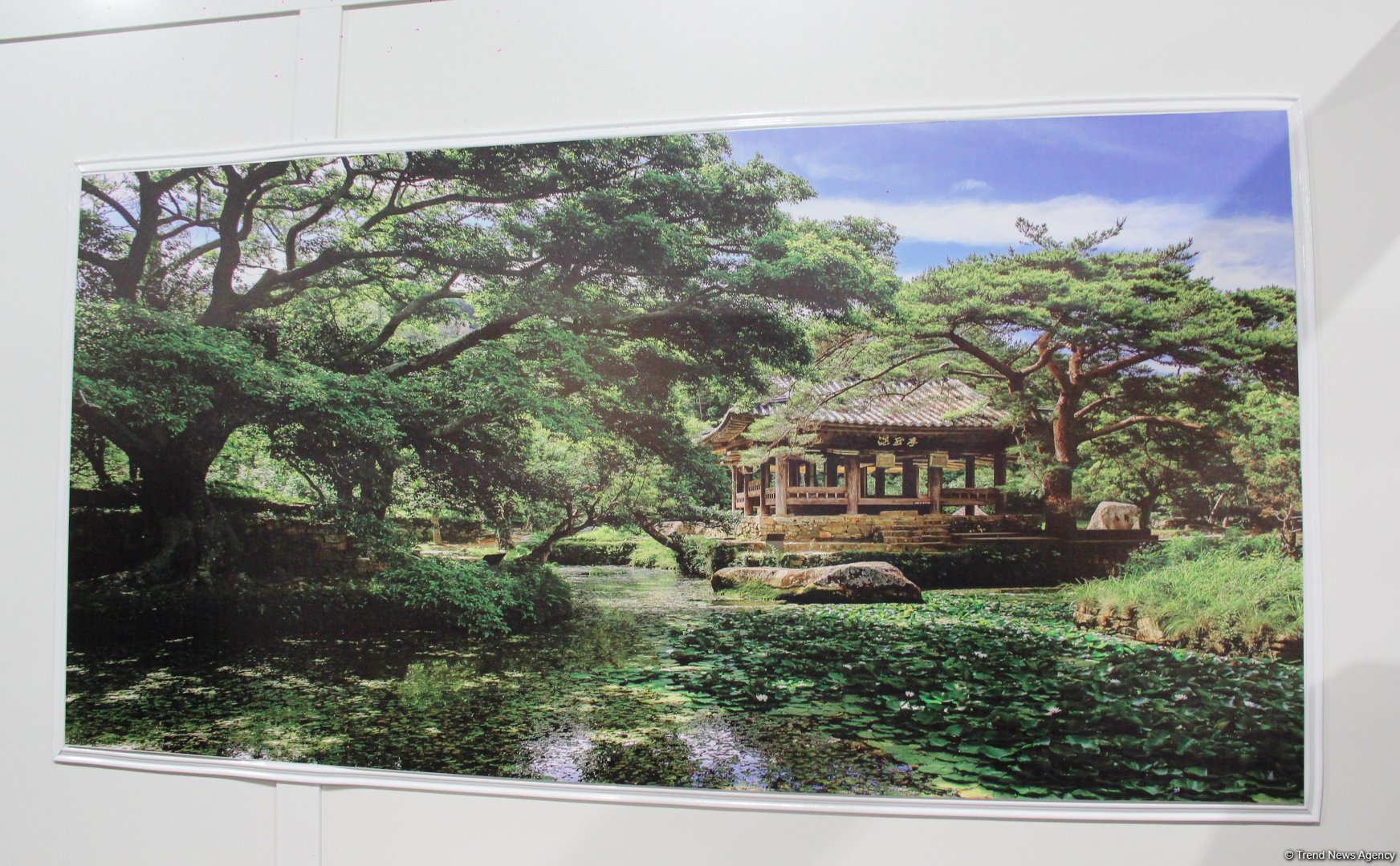 Cultural diversity at COP29 in Baku – Creative pavilions, carpets, expositions (PHOTO)