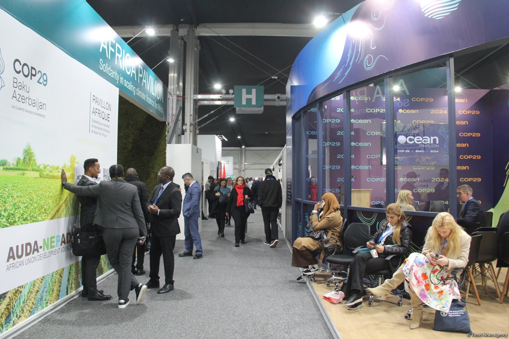 Cultural diversity at COP29 in Baku – Creative pavilions, carpets, expositions (PHOTO)