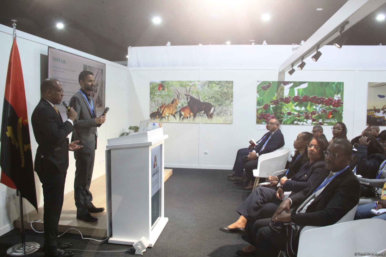 Cultural diversity at COP29 in Baku – Creative pavilions, carpets, expositions (PHOTO)