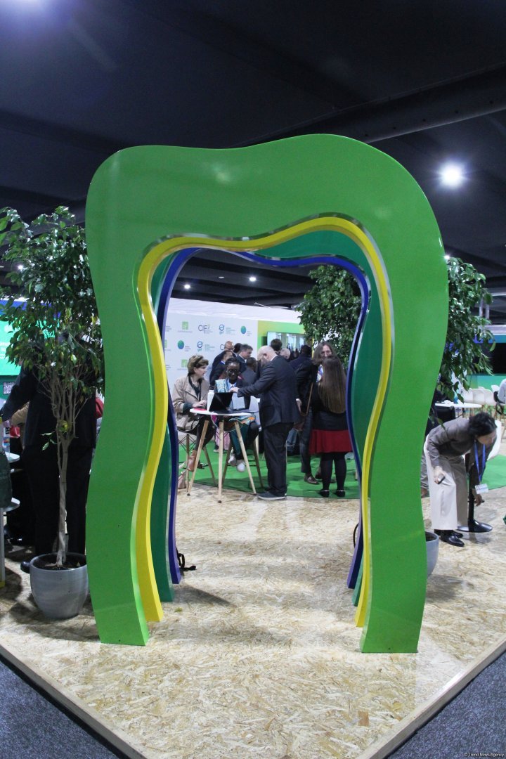 Cultural diversity at COP29 in Baku – Creative pavilions, carpets, expositions (PHOTO)