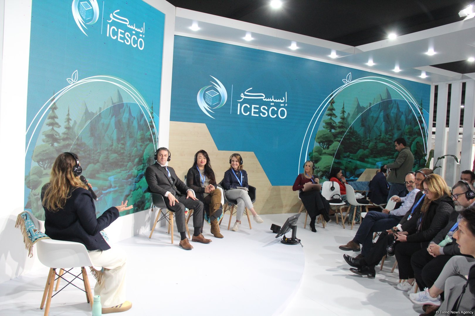 Cultural diversity at COP29 in Baku – Creative pavilions, carpets, expositions (PHOTO)