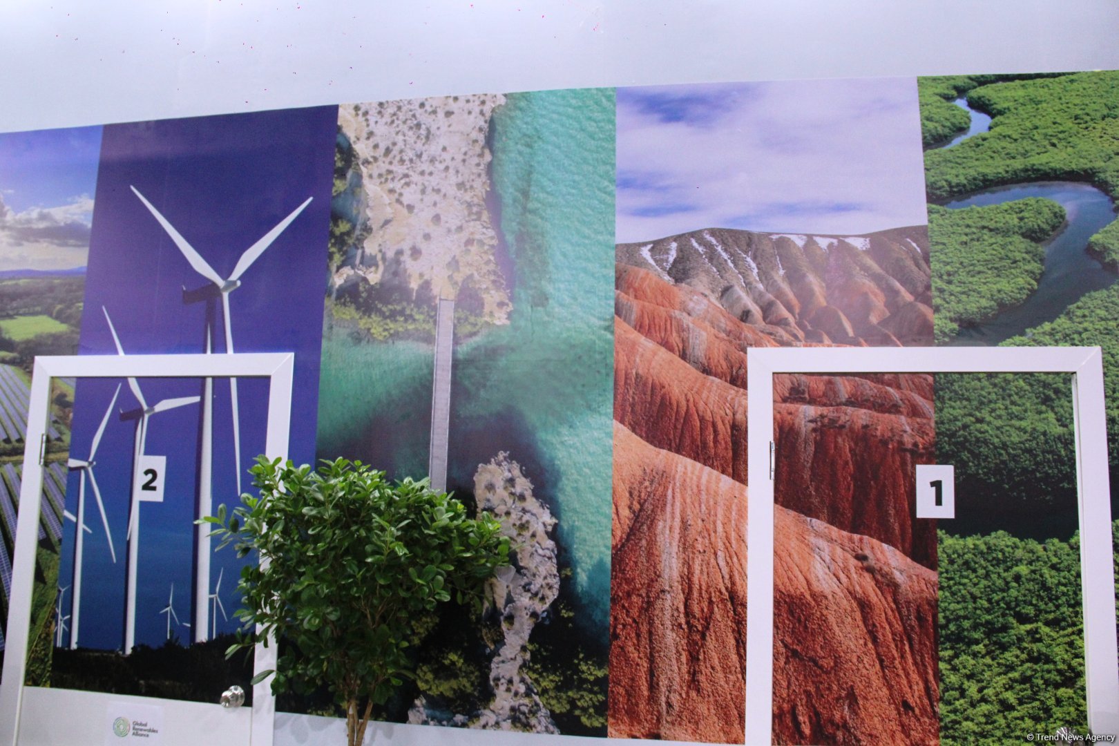 Cultural diversity at COP29 in Baku – Creative pavilions, carpets, expositions (PHOTO)