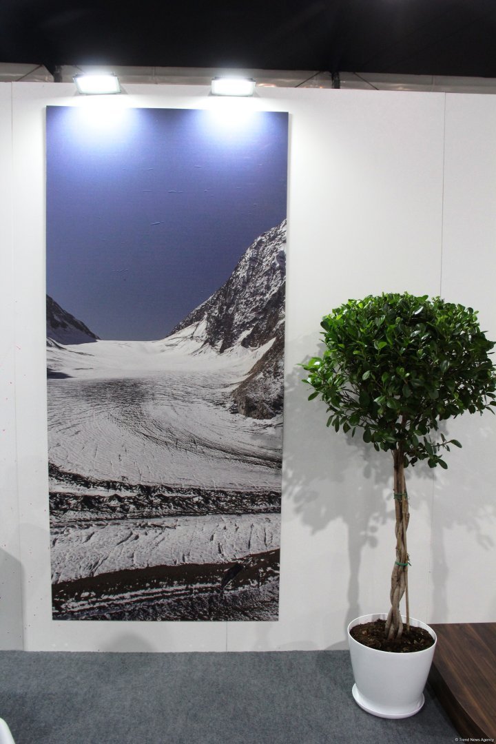 Cultural diversity at COP29 in Baku – Creative pavilions, carpets, expositions (PHOTO)