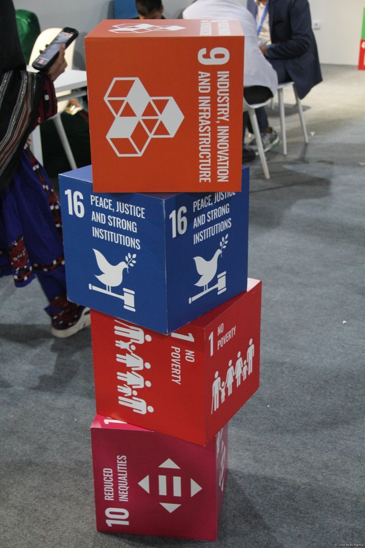 Cultural diversity at COP29 in Baku – Creative pavilions, carpets, expositions (PHOTO)