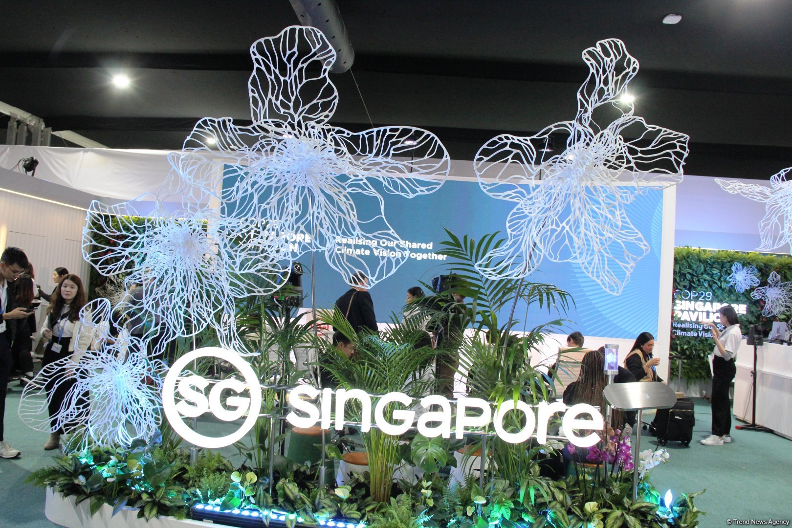 Cultural diversity at COP29 in Baku – Creative pavilions, carpets, expositions (PHOTO)