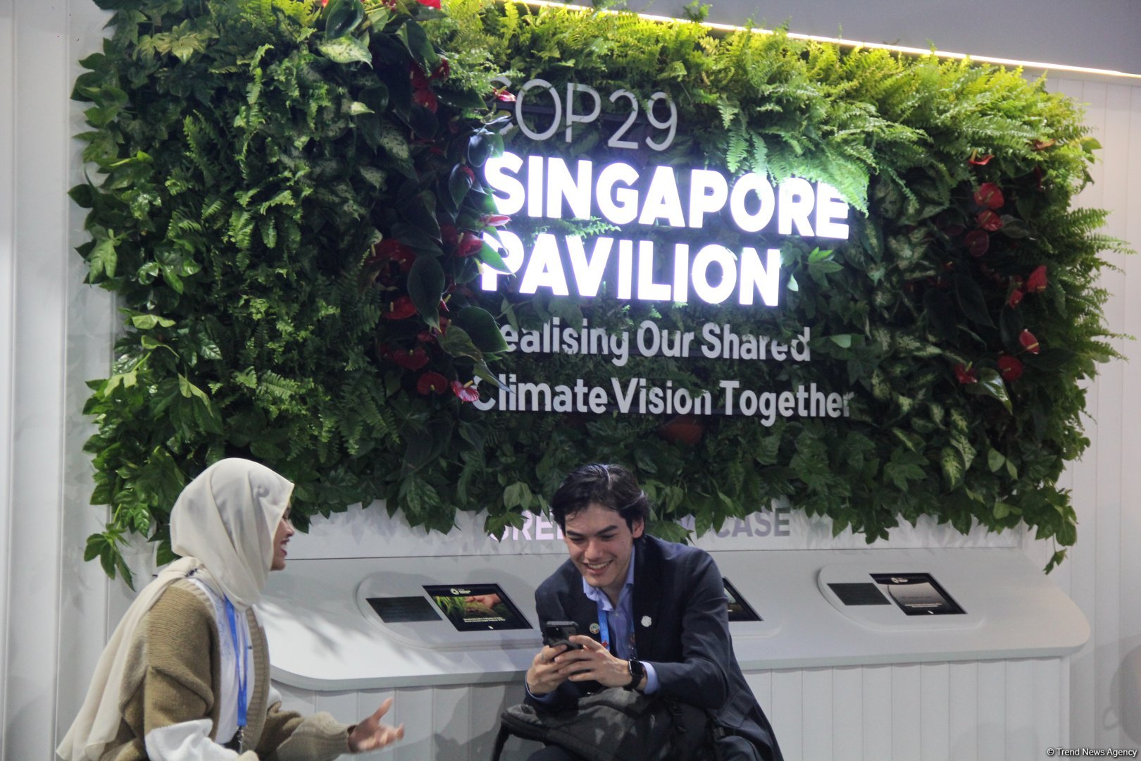 Cultural diversity at COP29 in Baku – Creative pavilions, carpets, expositions (PHOTO)