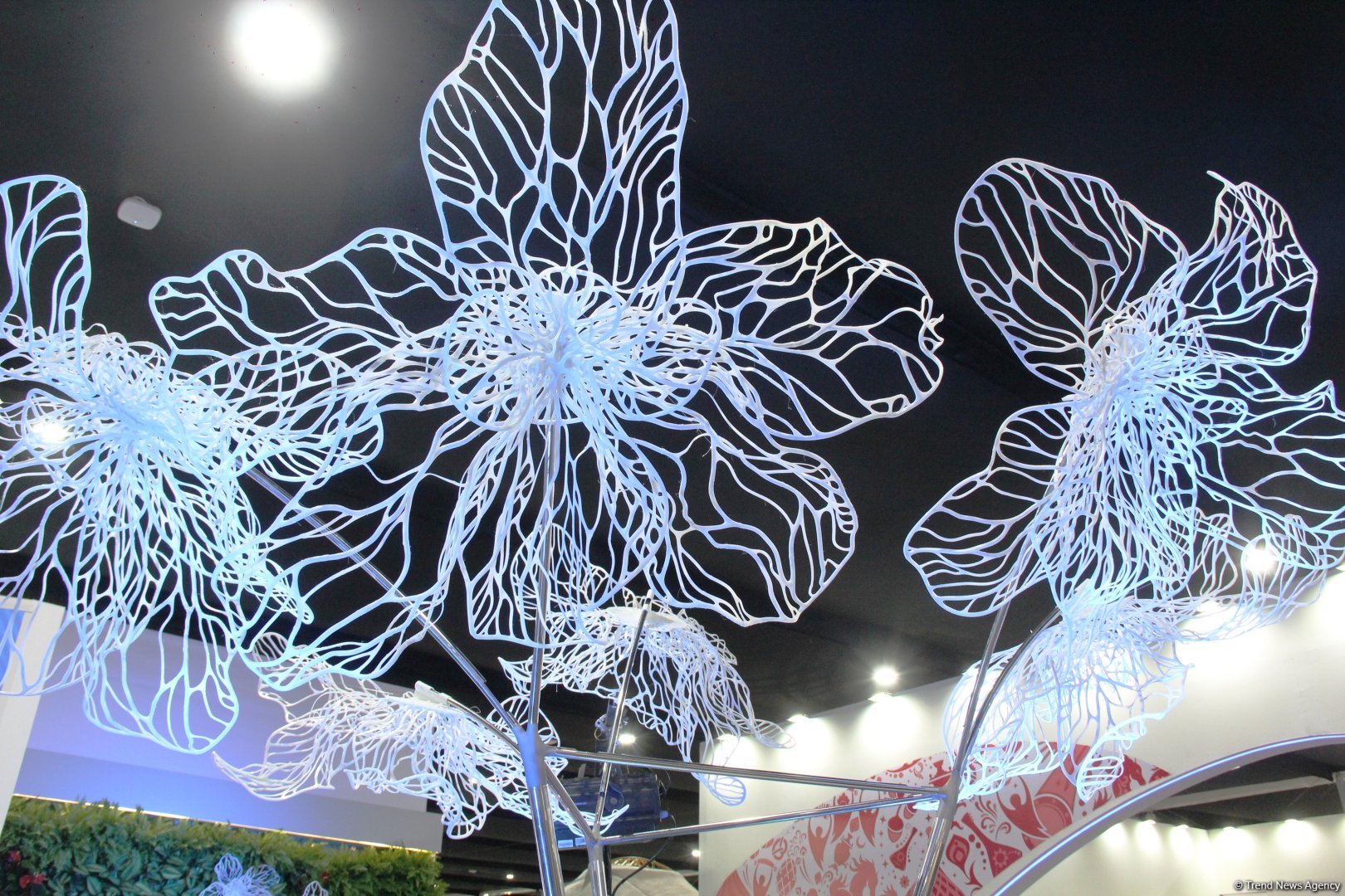 Cultural diversity at COP29 in Baku – Creative pavilions, carpets, expositions (PHOTO)