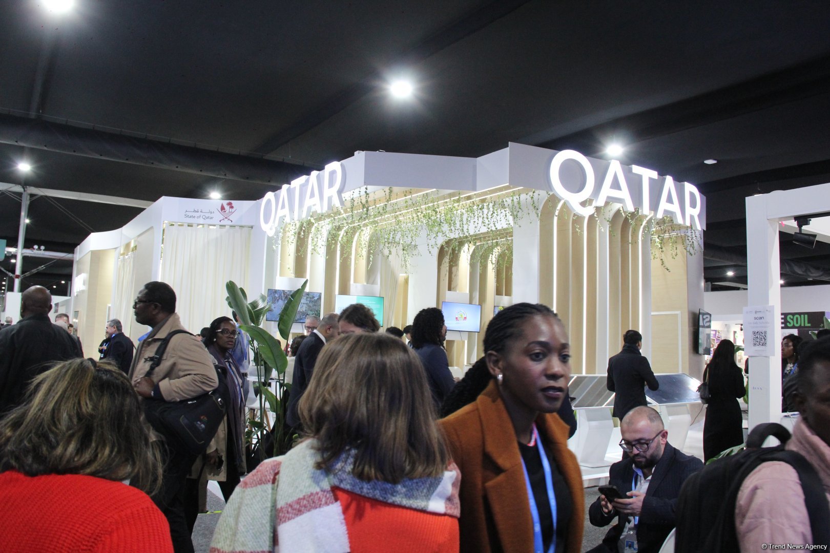 Cultural diversity at COP29 in Baku – Creative pavilions, carpets, expositions (PHOTO)