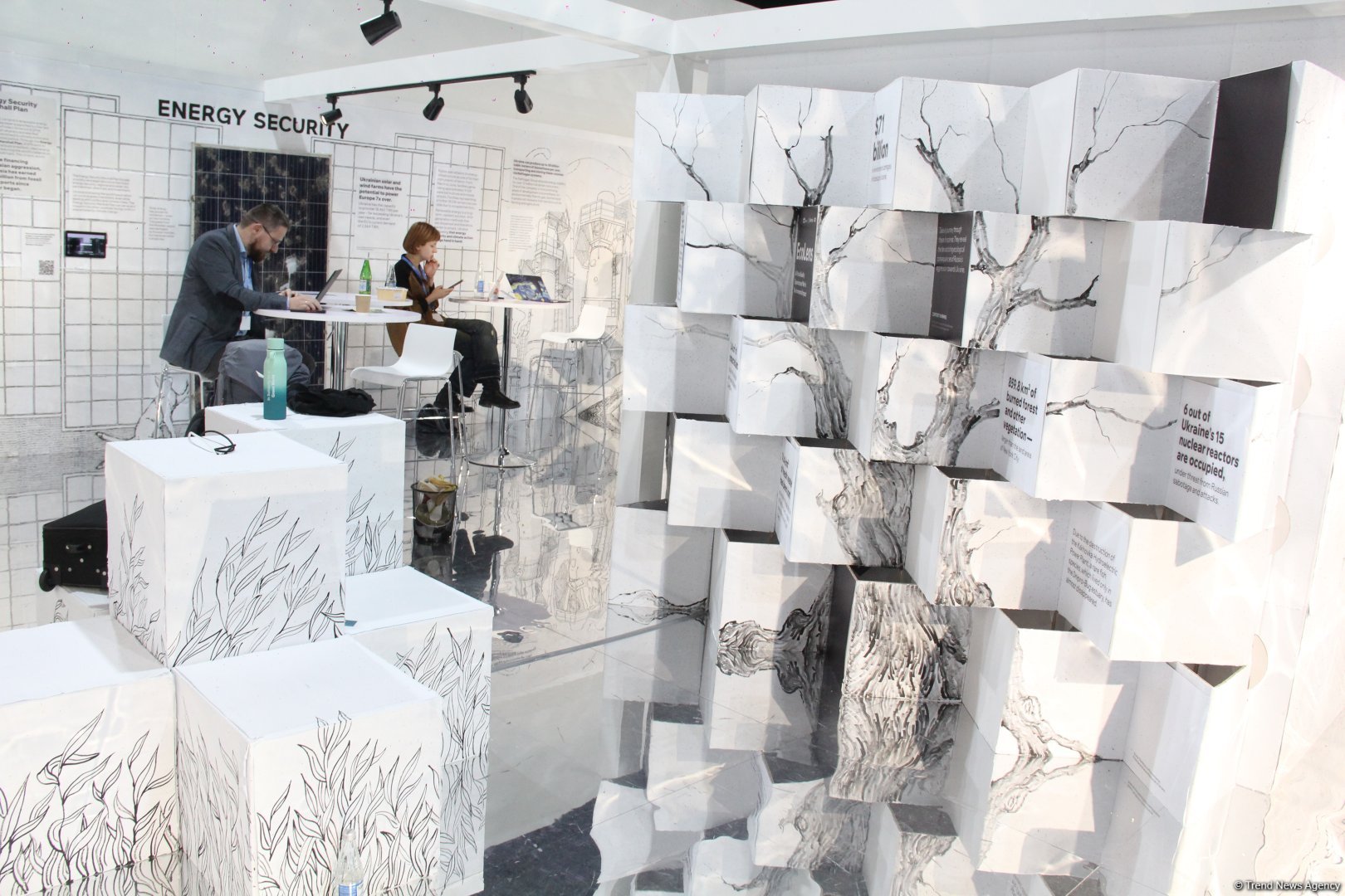Cultural diversity at COP29 in Baku – Creative pavilions, carpets, expositions (PHOTO)