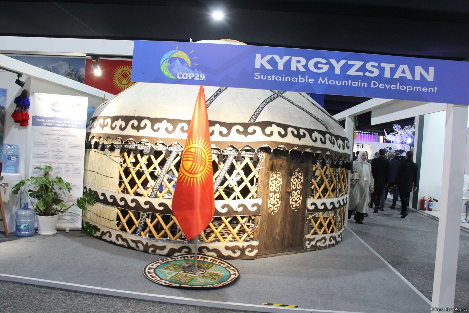 Cultural diversity at COP29 in Baku – Creative pavilions, carpets, expositions (PHOTO)