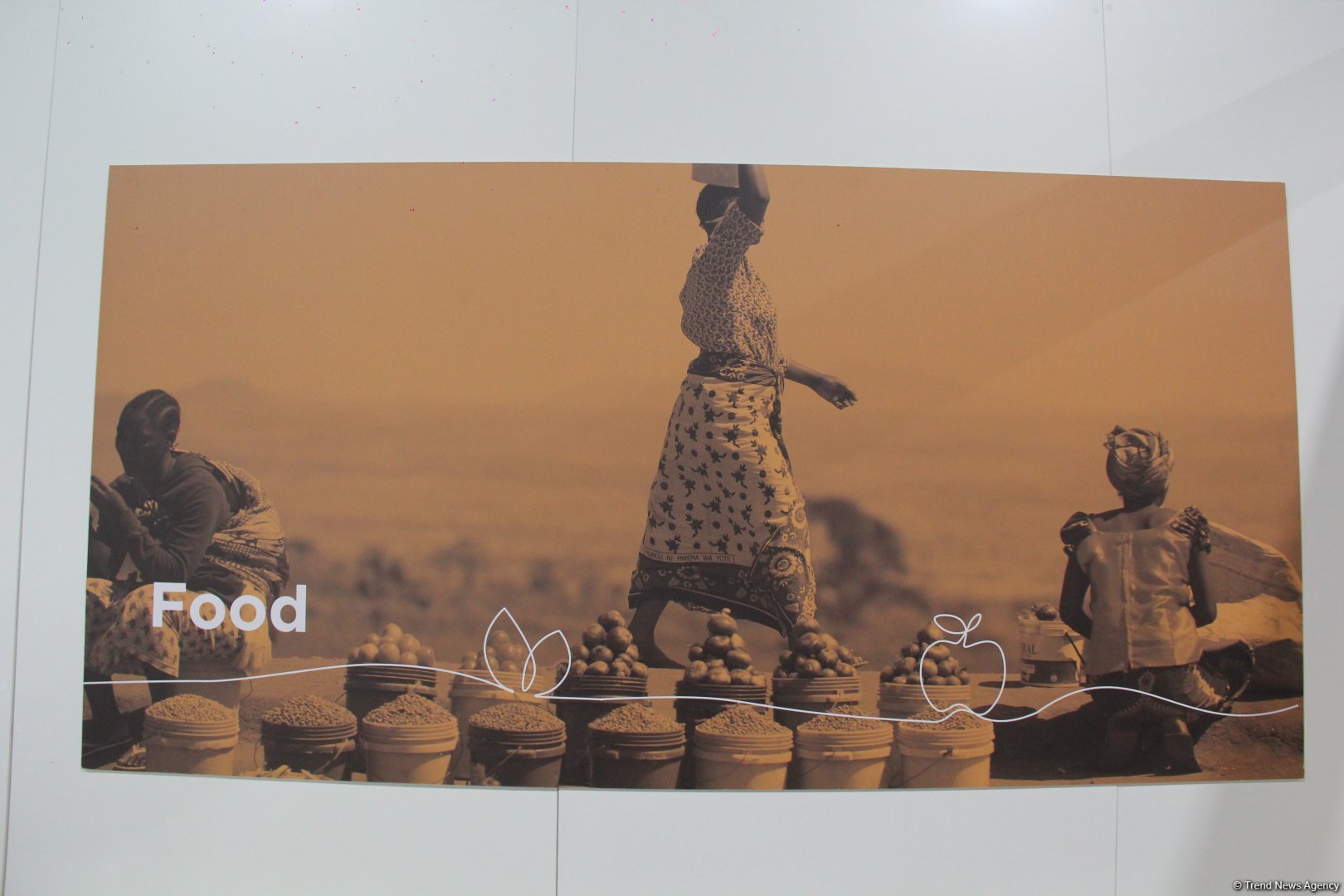 Cultural diversity at COP29 in Baku – Creative pavilions, carpets, expositions (PHOTO)