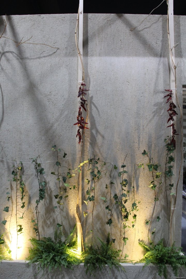 Cultural diversity at COP29 in Baku – Creative pavilions, carpets, expositions (PHOTO)
