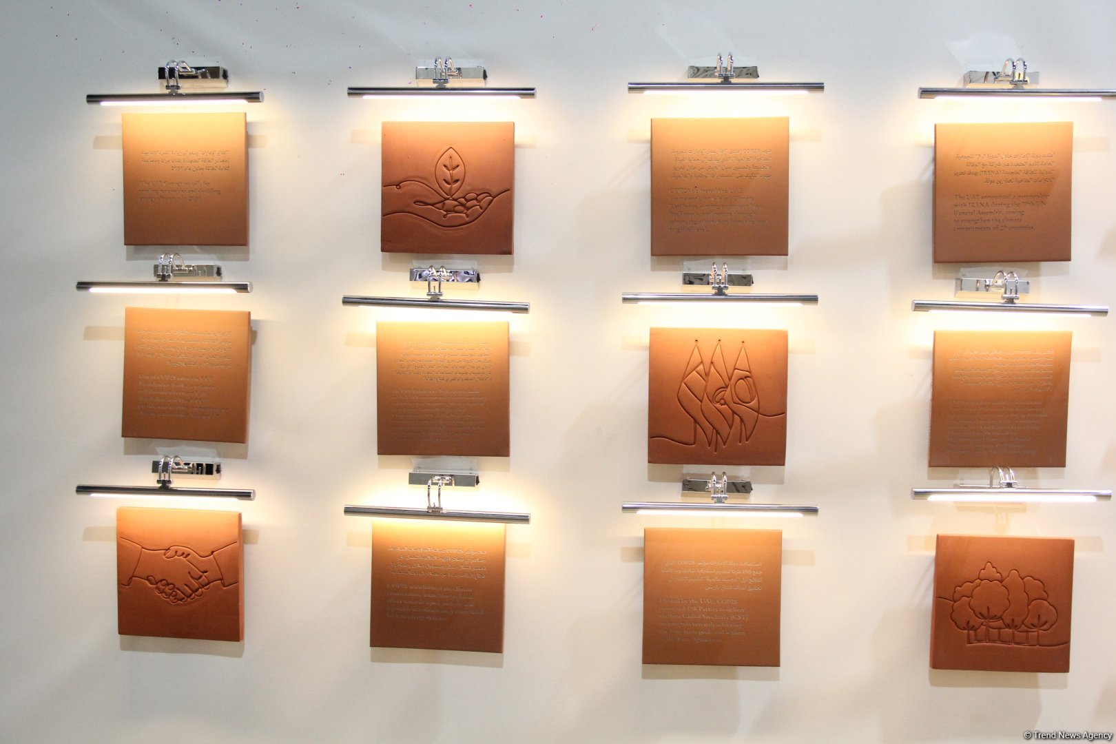 Cultural diversity at COP29 in Baku – Creative pavilions, carpets, expositions (PHOTO)
