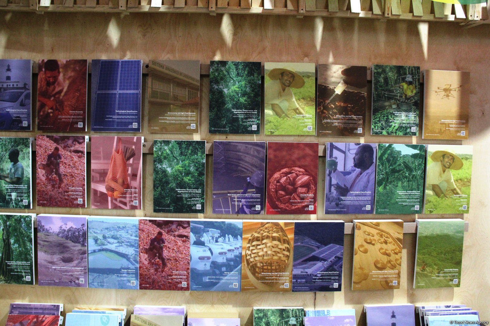 Cultural diversity at COP29 in Baku – Creative pavilions, carpets, expositions (PHOTO)