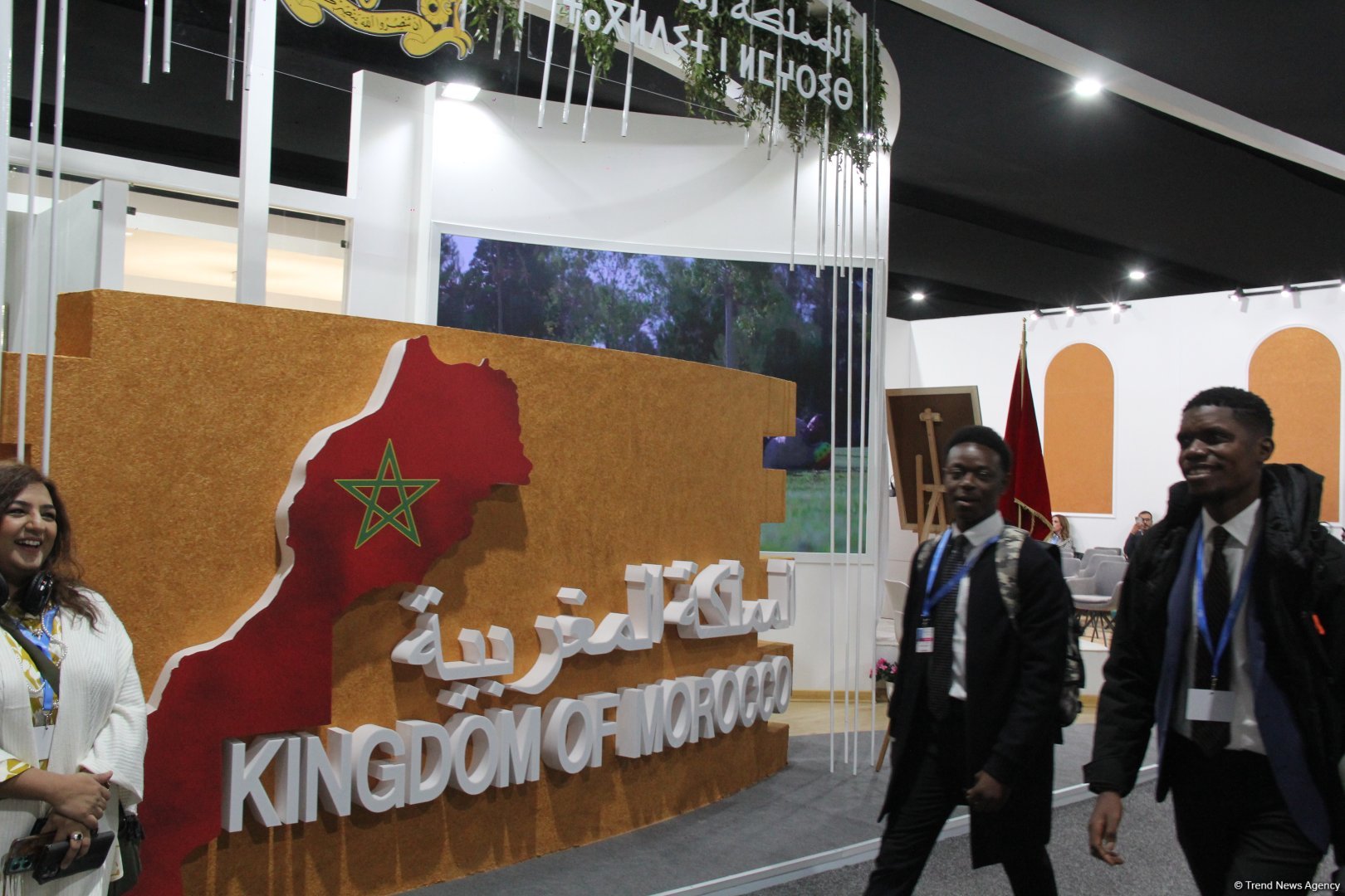 Cultural diversity at COP29 in Baku – Creative pavilions, carpets, expositions (PHOTO)