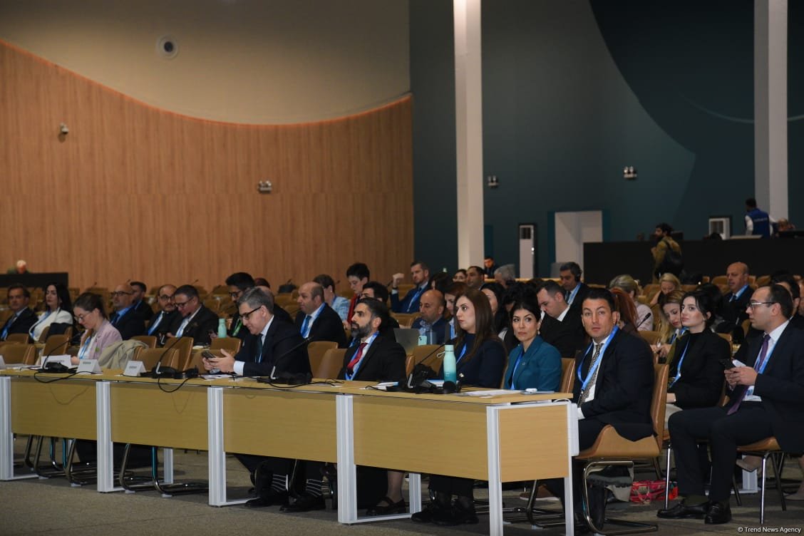 COP29 hosts panel discussion on business, investment, philanthropy (PHOTO)