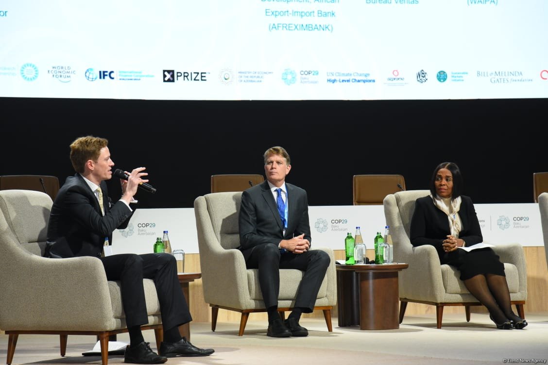 COP29 hosts panel discussion on business, investment, philanthropy (PHOTO)