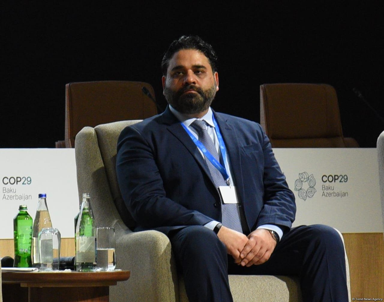 COP29 hosts panel discussion on business, investment, philanthropy (PHOTO)
