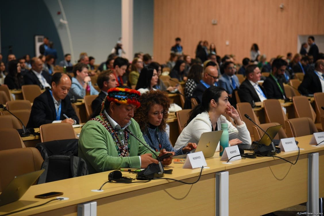 COP29 hosts panel discussion on business, investment, philanthropy (PHOTO)