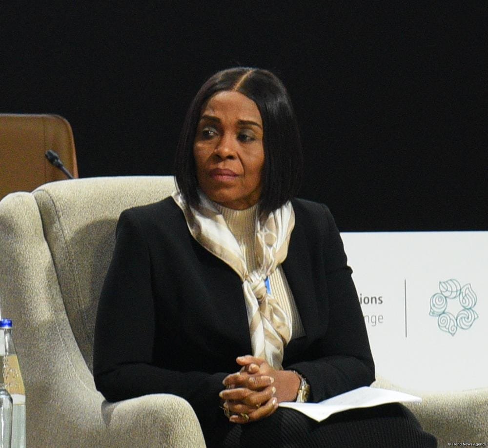 Investments in Africa need to be developed to reduce carbon emissions - official
