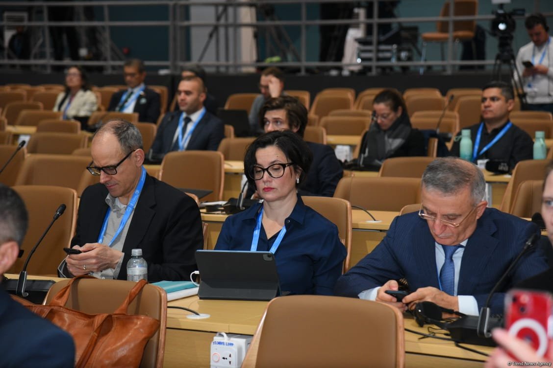COP29 hosts panel discussion on business, investment, philanthropy (PHOTO)