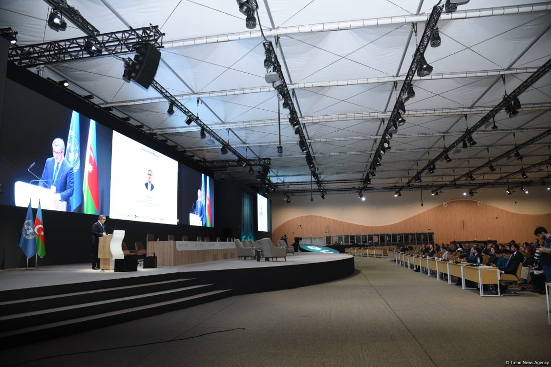 COP29 hosts panel discussion on business, investment, philanthropy (PHOTO)