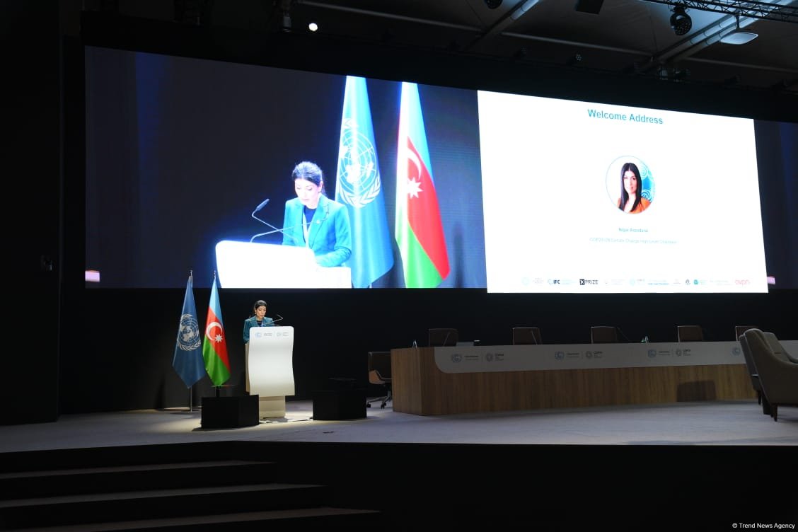COP29 hosts panel discussion on business, investment, philanthropy (PHOTO)