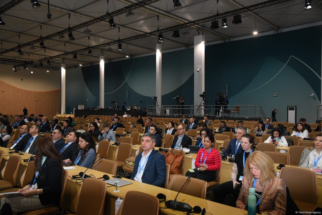 COP29 hosts panel discussion on business, investment, philanthropy (PHOTO)